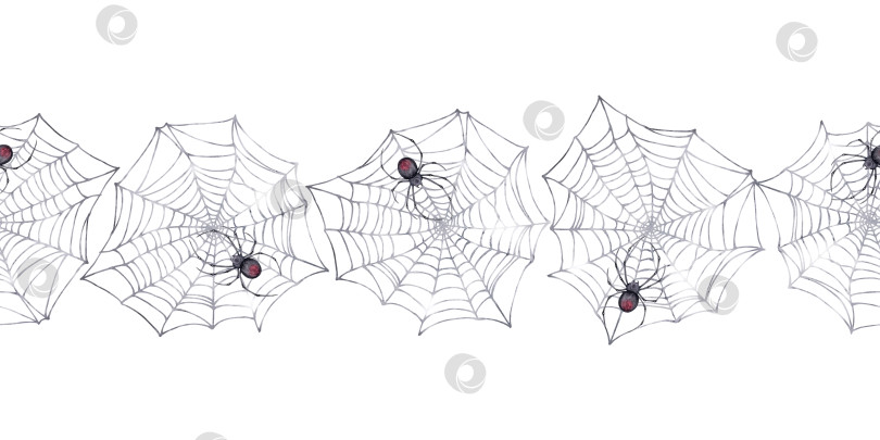 Скачать Бесшовный горизонтальный узор с паутиной и краснобрюхими пауками. фотосток Ozero