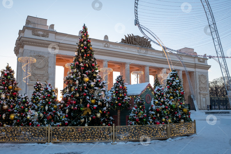 Скачать Рождественская елка фотосток Ozero