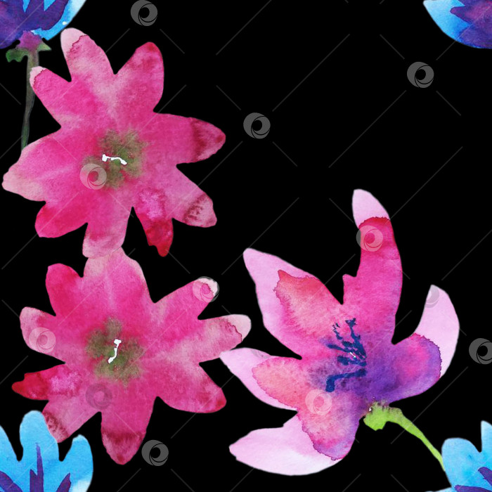 Скачать Бесшовный узор из крупных розовых и голубых цветов на черном фоне. Иллюстрация выполнена вручную акварелью. фотосток Ozero