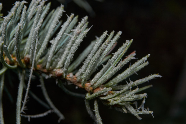 [object Object] undefined