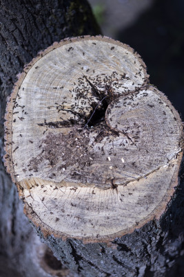 [object Object] undefined
