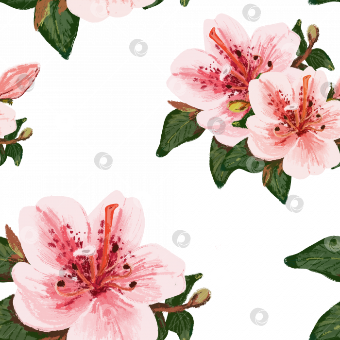 Скачать Бесшовный цветочный узор на прозрачном фоне крупных цветов фотосток Ozero