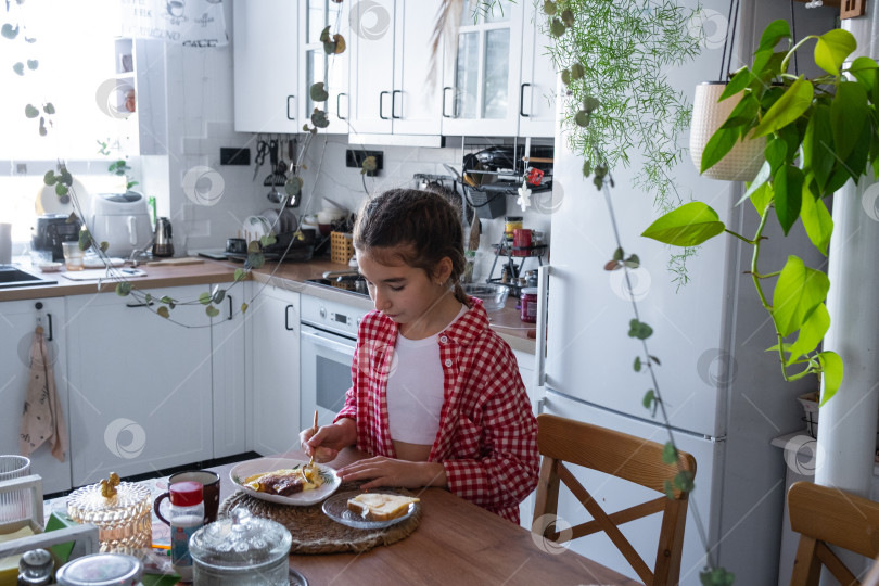 Скачать Утром девушка завтракает на кухне яичницей-болтуньей и бутербродом за столом фотосток Ozero