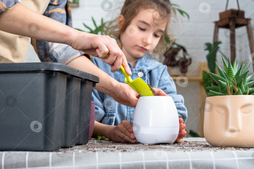 Скачать Мама помогает своей дочери с ее хобби - пересадкой комнатных растений фотосток Ozero