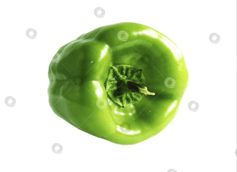 Скачать Зеленый болгарский перец фотосток Ozero