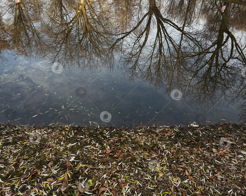 Скачать Конец осени фотосток Ozero