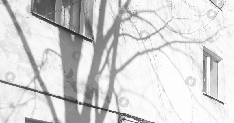 Скачать Вид на дом и тенью на нём фотосток Ozero