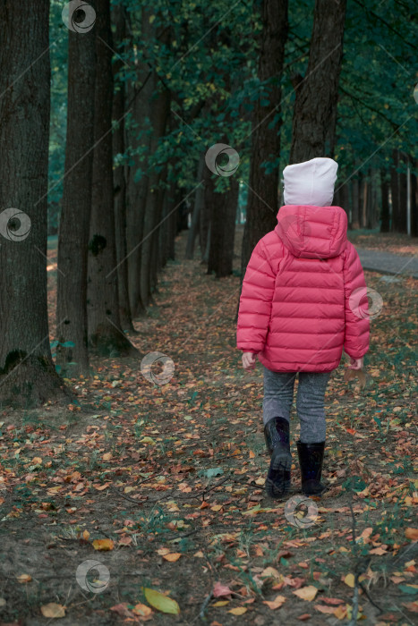 Скачать Маленькая девочка в ярко-розовой курточке гуляет по парку. Осенние листья. Прогулка по осеннему лесу. Зеленая листва на деревьях. Фон фотосток Ozero