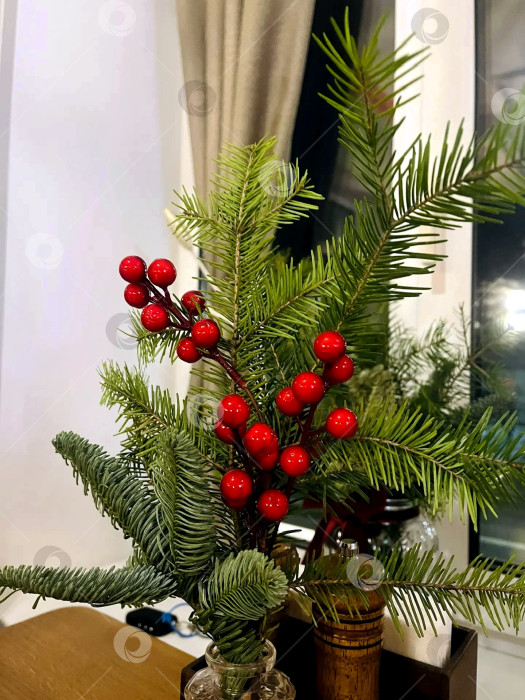 Скачать Красные ягоды с еловыми ветками. фотосток Ozero