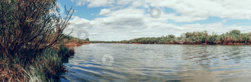Скачать Вид на реку в летнюю погоду, по краям на берегах много кустарников и зарослей. Маленькое облачко в голубом небе фотосток Ozero
