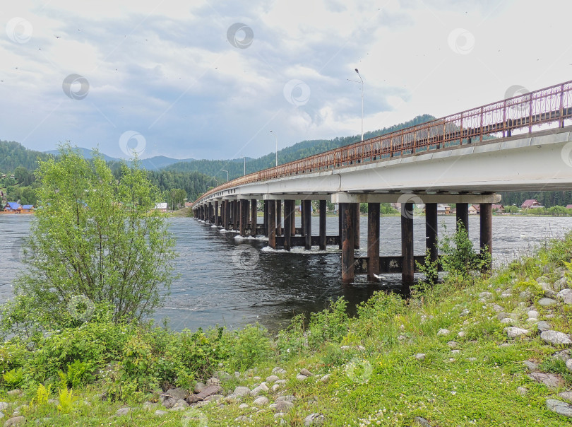 Скачать Мост через Телецкое озеро фотосток Ozero