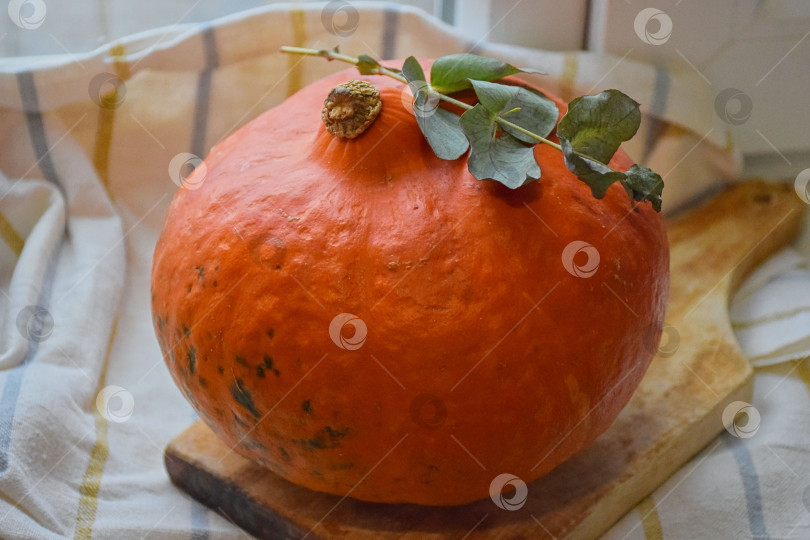 Скачать Оранжевая тыква на разделочной деревянной доске фотосток Ozero