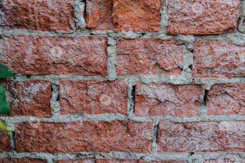 Скачать стена фотосток Ozero