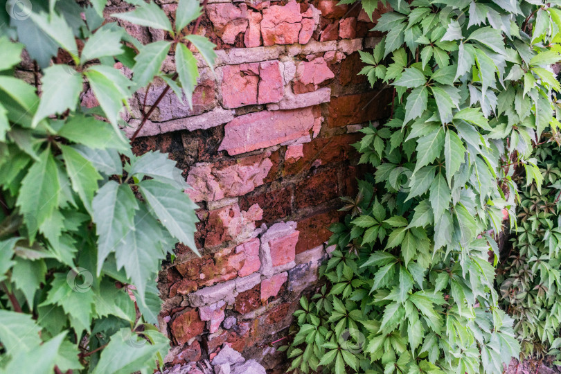 Скачать стена фотосток Ozero