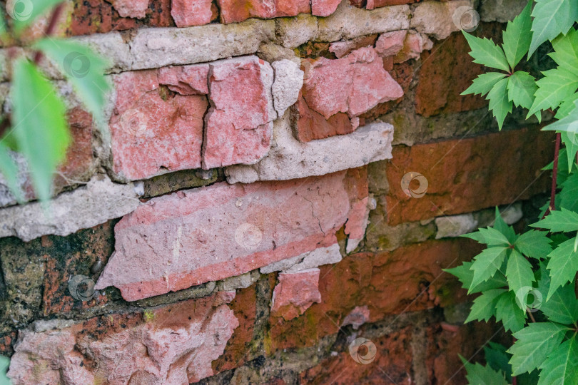 Скачать стена фотосток Ozero