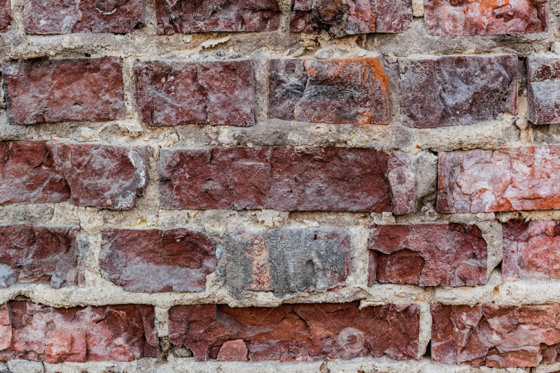 Скачать стена фотосток Ozero