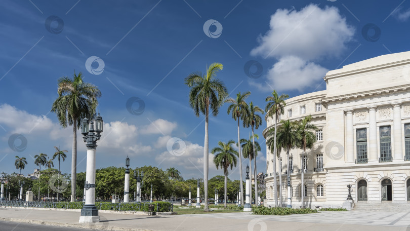Скачать Городской пейзаж. Гавана. Куба. Белокаменное здание Капитолия, старинные уличные фонари, пальмы фотосток Ozero