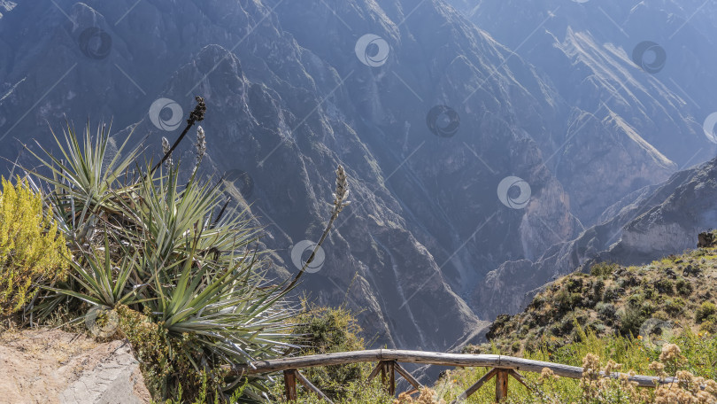 Скачать Высотная смотровая площадка, некрашеный деревянный забор. фотосток Ozero