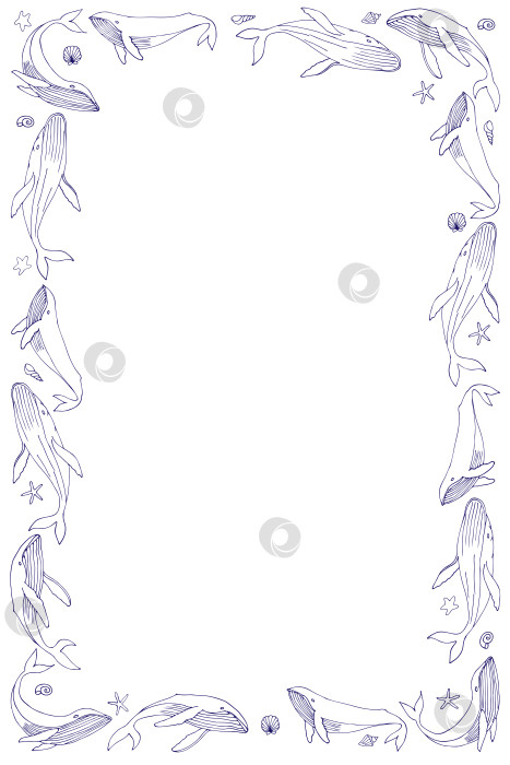 Скачать Прямоугольная рамка с китами и раковинами, нарисованная от руки на белом фоне. Контурный рисунок. фотосток Ozero