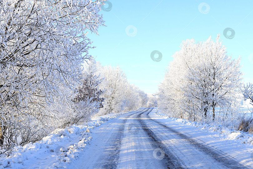 Скачать Сказочно красивые деревья в толстом слое инея и снега во время сильного мороза вдоль дороги.Зимний пейзаж Центральной России.Красивая зимняя пригласительная открытка для туристов.Красота холодного времени года для путешествий в экстремальных условиях фотосток Ozero