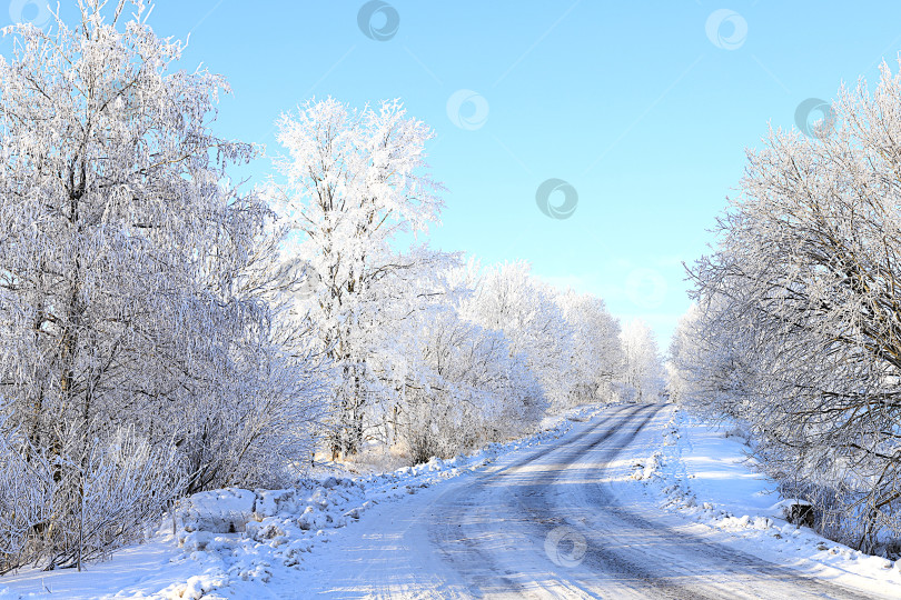 Скачать Сказочно красивые деревья в толстом слое инея и снега во время сильного мороза вдоль дороги.Зимний пейзаж Центральной России.Красивая зимняя пригласительная открытка для туристов.Красота холодного времени года для путешествий в экстремальных условиях фотосток Ozero