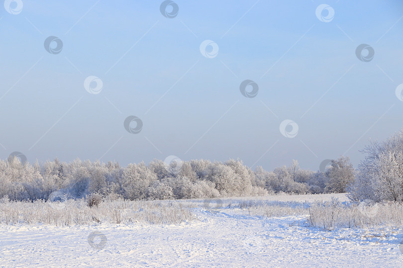Скачать Зимний пейзаж Центральной России.Сказочно красивые деревья в толстом слое инея и снега в сильный мороз.Красивая зимняя пригласительная открытка для туристов.Красота холодного времени года для путешествий в экстремальных условиях фотосток Ozero