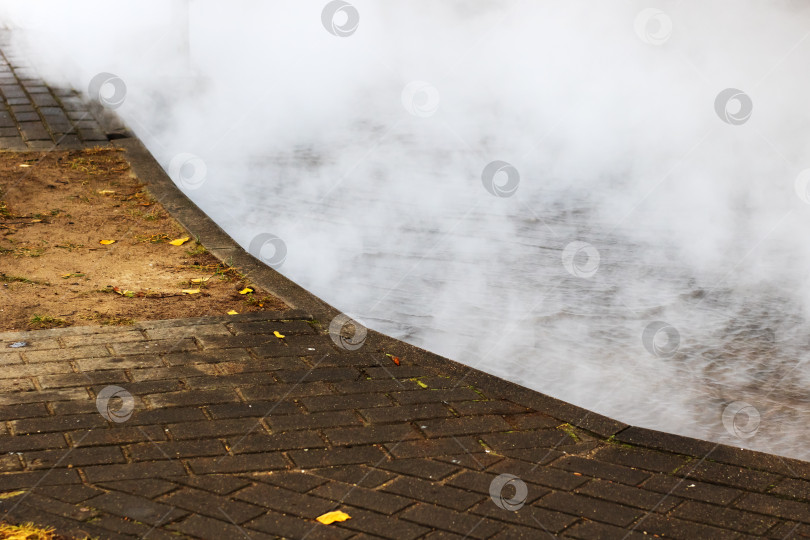 Скачать Утренняя дымка окутывает мокрые городские дорожки, Нежный туман стелется по влажным городским тротуарам на рассвете фотосток Ozero