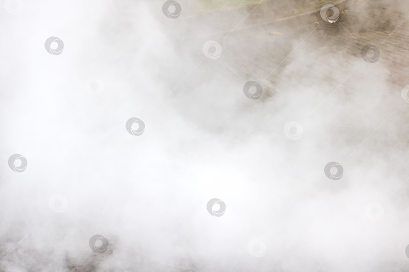 Скачать Туман окутывает местность светящейся дымкой, плотный туман мягко окутывает сцену и таинственно светится фотосток Ozero