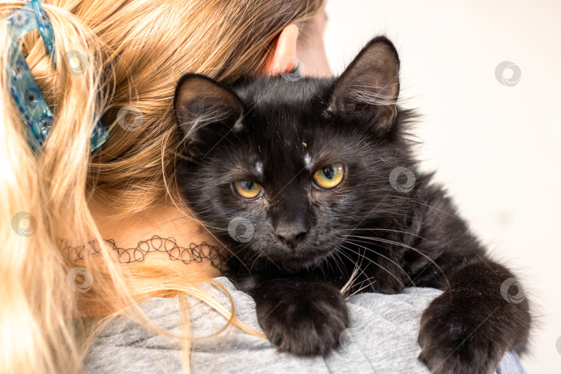 Скачать Волонтер общается с кошкой, женщина обнимает маленькую черную кошечку в уютном приюте фотосток Ozero