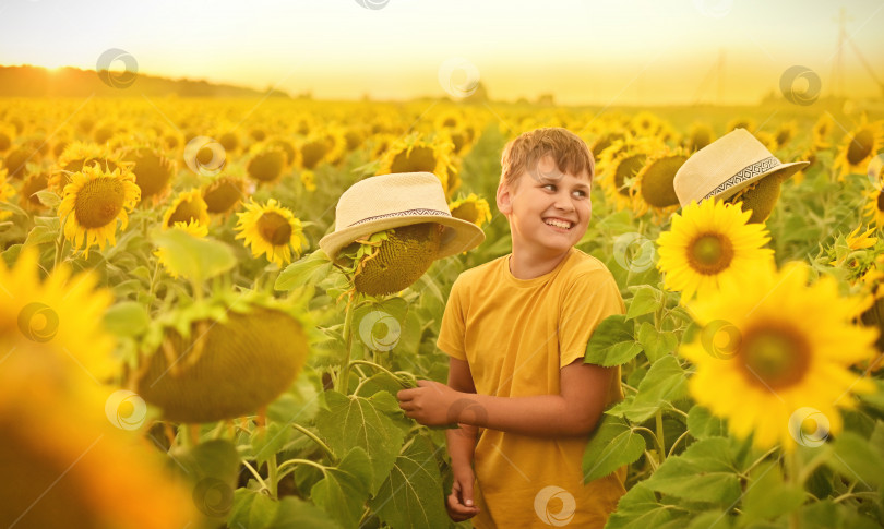 Скачать Милый ребенок с подсолнухом на летнем поле фотосток Ozero