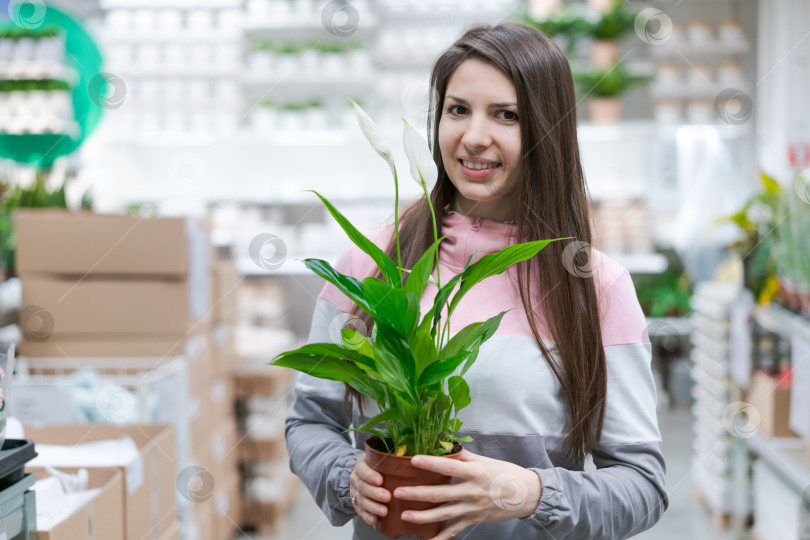 Скачать Женщина держит в руках растение в горшке фотосток Ozero