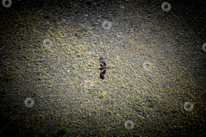 Скачать Горный пейзаж фотосток Ozero