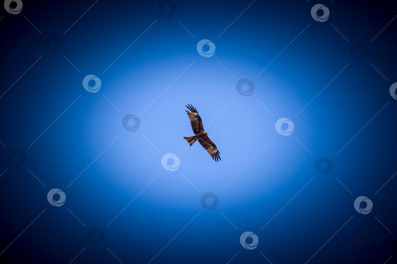 Скачать Горный пейзаж фотосток Ozero