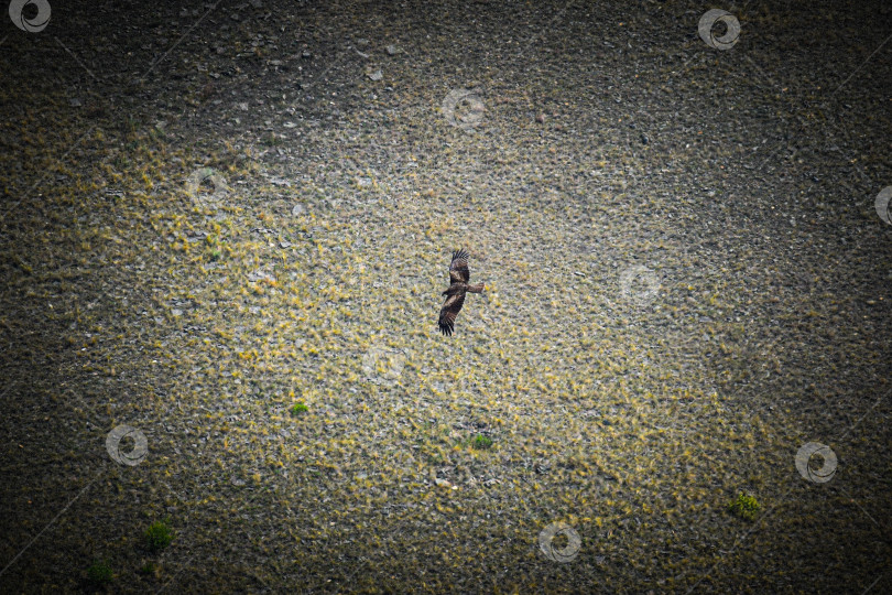 Скачать Горный пейзаж фотосток Ozero