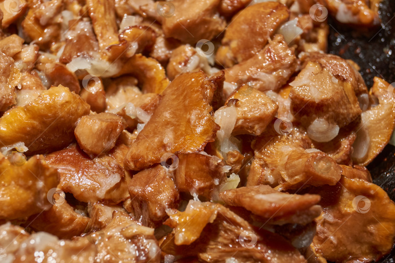 Скачать Горячее грибное блюдо – лисички, обжаренные с луком в масле. фотосток Ozero