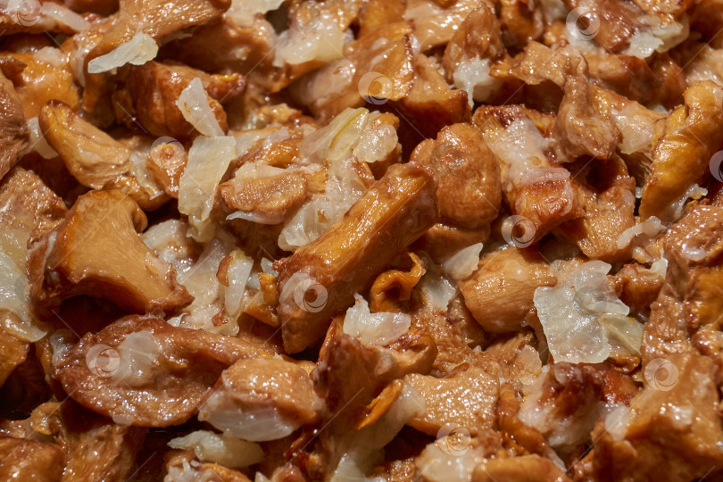 Скачать Горячее грибное блюдо – лисички, обжаренные с луком в масле. фотосток Ozero