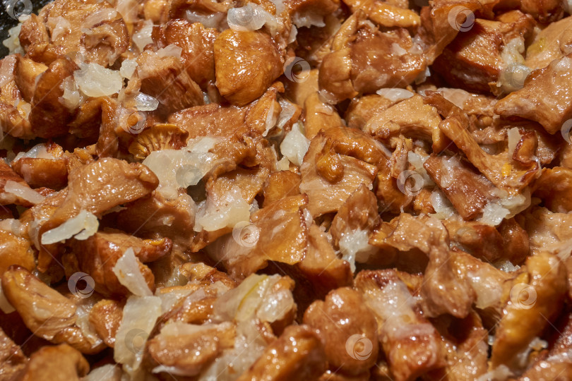 Скачать Горячее грибное блюдо – лисички, обжаренные с луком в масле. фотосток Ozero