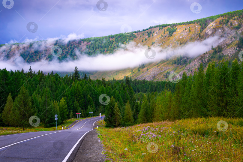 Скачать Чуйский тракт и горы, Республика Алтай, Южная Сибирь, Россия фотосток Ozero