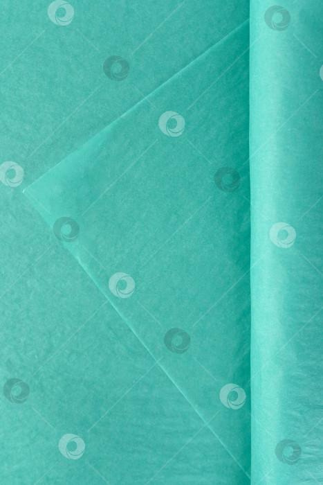 Скачать Нежно-бирюзовый тканевый оберточный материал для цветов, уложенных в листы, выделяющиеся на белом фоне, используемый для оформления букетов и упаковки фотосток Ozero