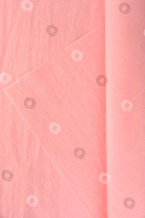 Скачать Нежно-розовая папиросная бумага для упаковки цветов. Легкая полупрозрачная бумага для флористики в розовых тонах, также известных как кораллово-розовый, лососево-розовый и пастельно-персиковый. фотосток Ozero