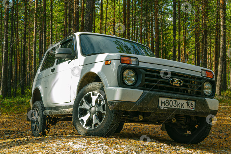Скачать Автомобиль НИВА в сосновом осеннем лесу фотосток Ozero