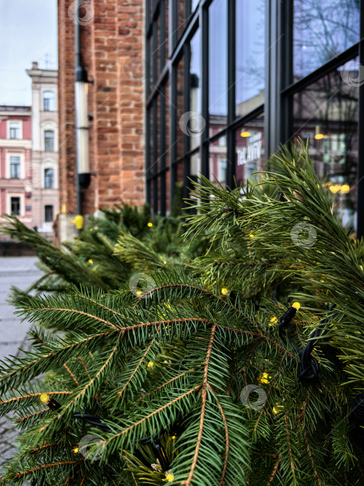 Скачать Праздничные сосновые ветки с гирляндами у кирпичного здания. Снимок сделан на смартфон. фотосток Ozero