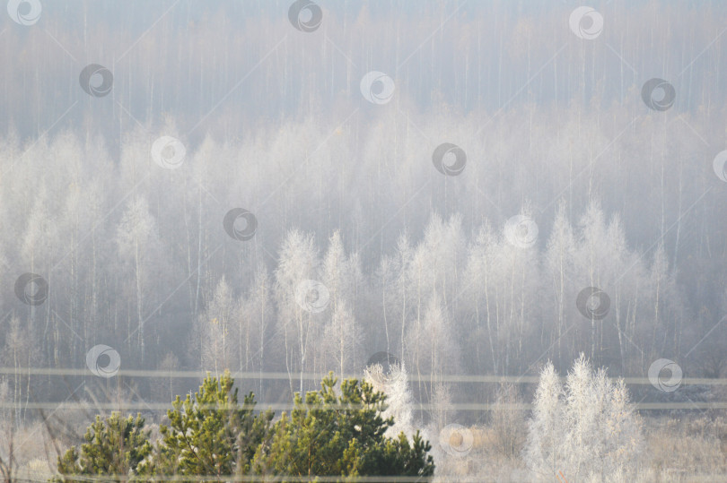 Скачать Первые заморозки. Вид сверху. фотосток Ozero