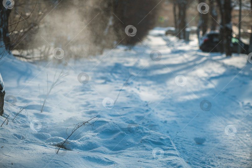 Скачать Заснеженная тропинка вьется между покрытыми инеем деревьями, а мягкий солнечный свет проникает сквозь тени, создавая безмятежную, нетронутую картину зимнего леса, идеально подходящую для тихого уединения на свежем воздухе. фотосток Ozero