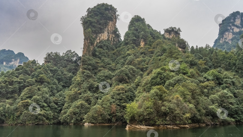Скачать Спокойное изумрудное озеро. На берегу пышная зеленая растительность. фотосток Ozero