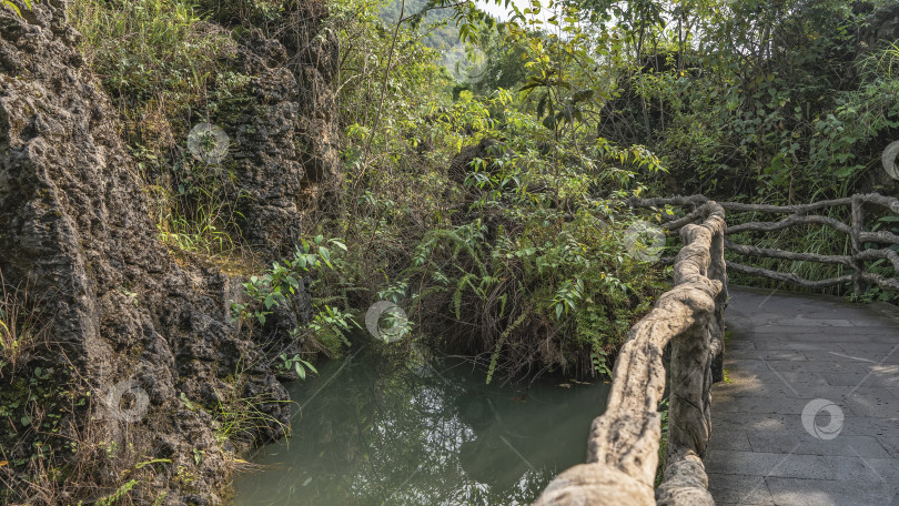 Скачать Вдоль пруда проходит пешеходная дорожка с перилами из веток фотосток Ozero
