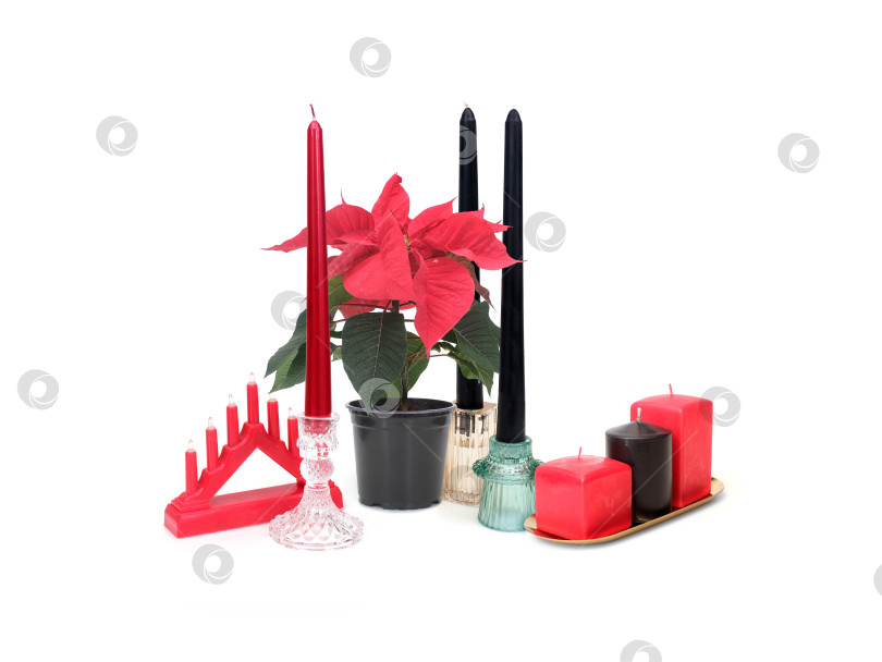 Скачать Полный набор рождественских украшений: красная пуансеттия со свечами и подстаканниками на белом фоне, готов к вырезанию. Чрезвычайно высокое разрешение фотосток Ozero