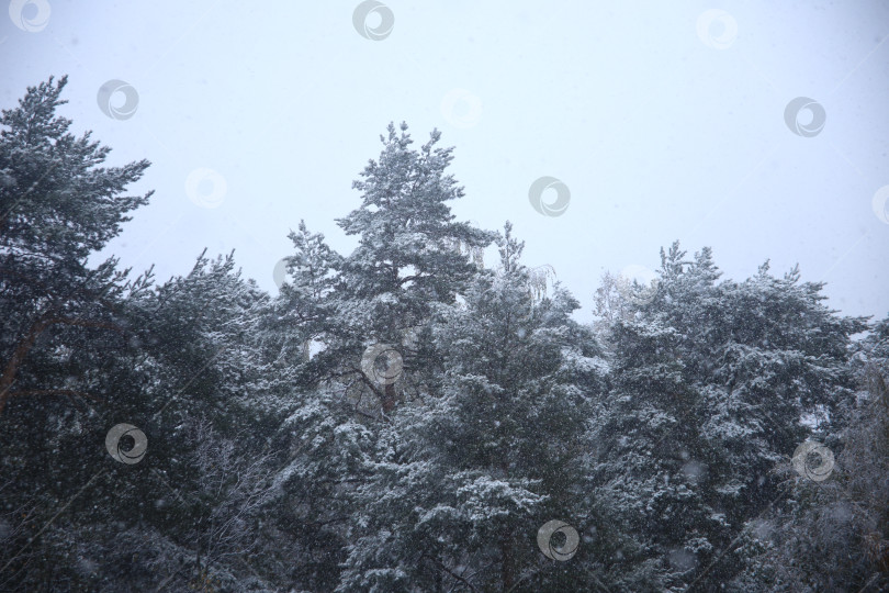 Скачать Пейзаж со снежной метелью фотосток Ozero