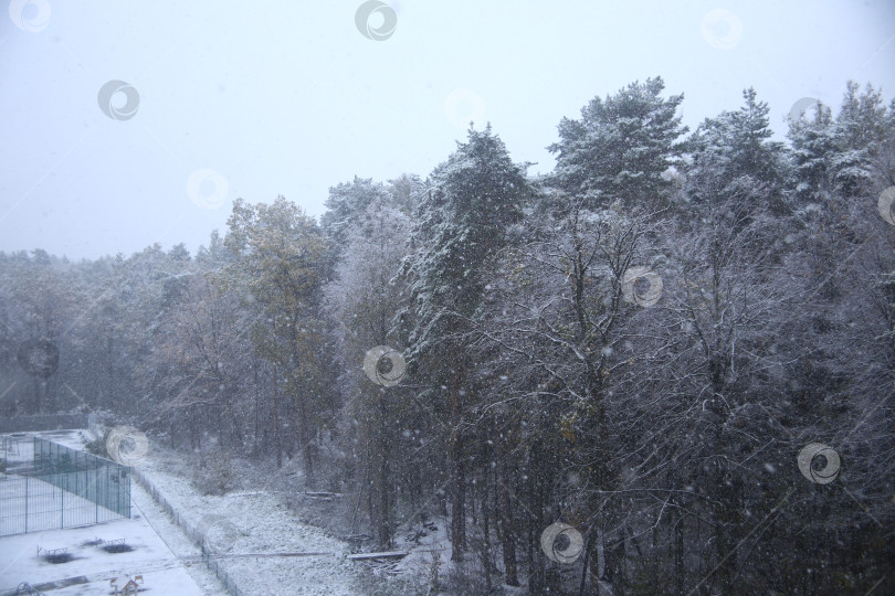 Скачать Пейзаж со снежной метелью фотосток Ozero