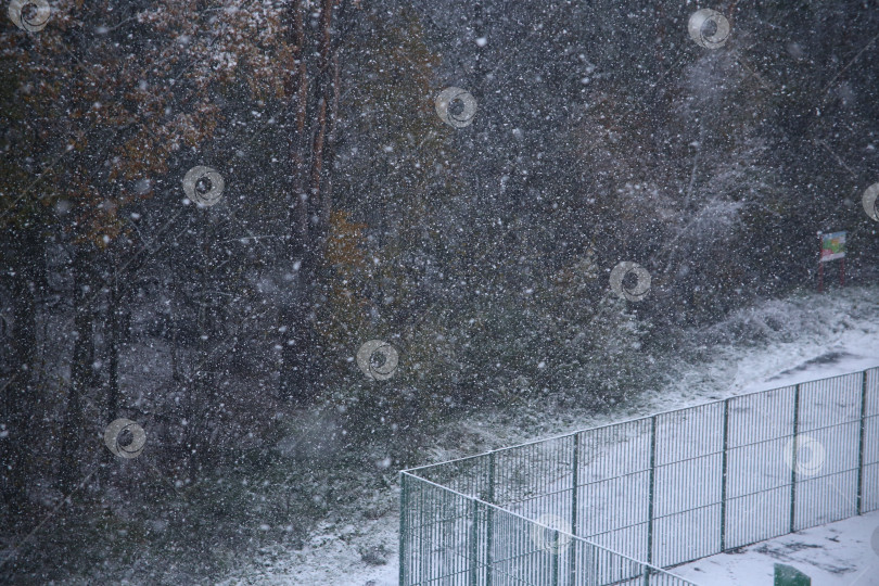 Скачать Пейзаж со снегопадом и заснеженными деревьями фотосток Ozero